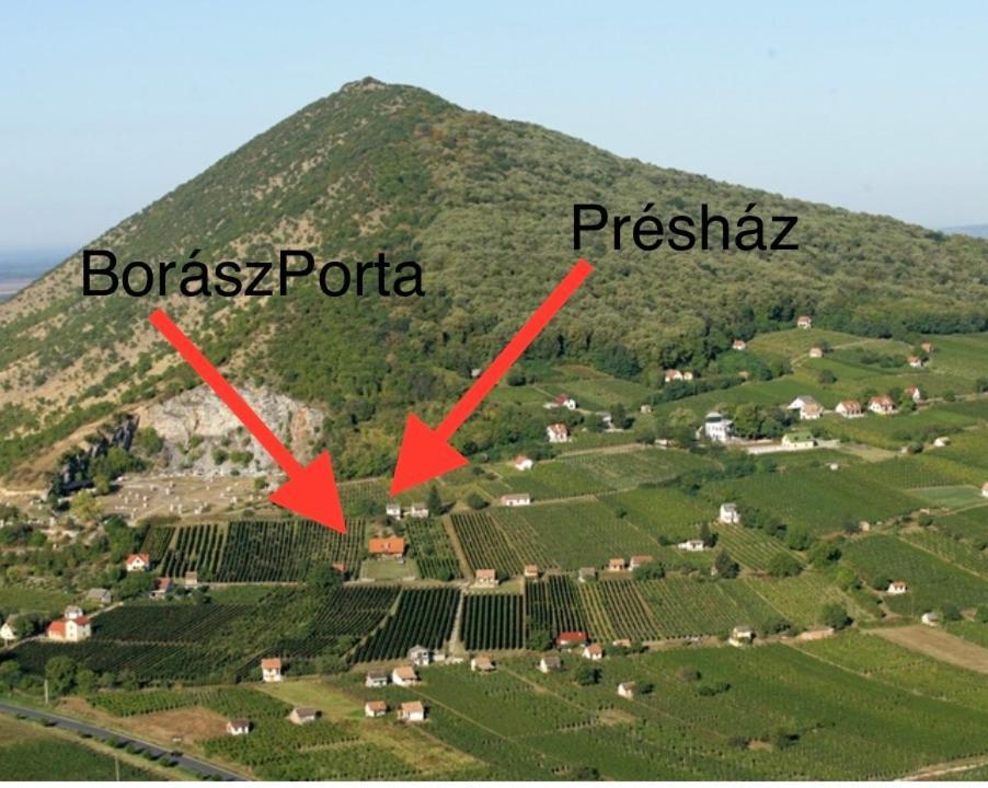 Hotel BorászPorta - Présház Villány Exterior foto